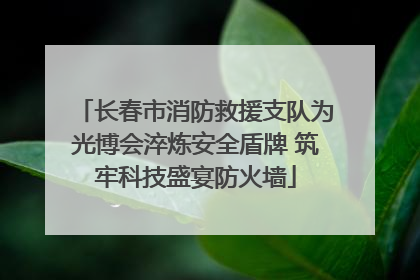 长春市消防救援支队为光博会淬炼安全盾牌 筑牢科技盛宴防火墙