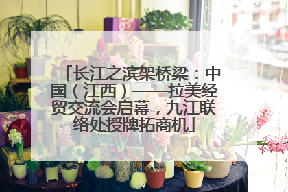长江之滨架桥梁：中国（江西）——拉美经贸交流会启幕，九江联络处授牌拓商机