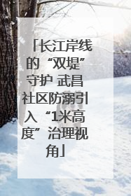 长江岸线的“双堤”守护 武昌社区防溺引入“1米高度”治理视角