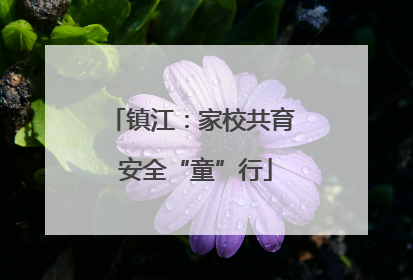 镇江：家校共育 安全“童”行