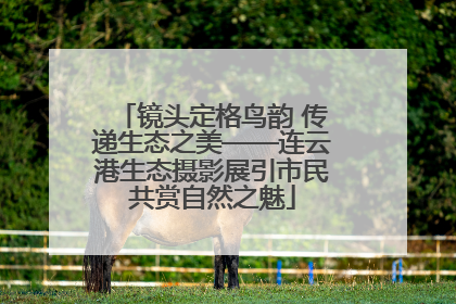 镜头定格鸟韵 传递生态之美——连云港生态摄影展引市民共赏自然之魅