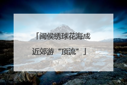 闽侯绣球花海成近郊游“顶流”