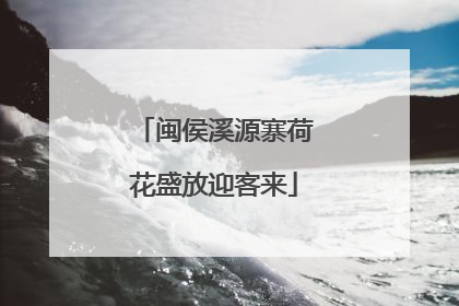 闽侯溪源寨荷花盛放迎客来