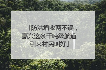 防洪增收两不误，嘉兴这条千吨级航道引来村民叫好