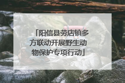 阳信县劳店镇多方联动开展野生动物保护专项行动