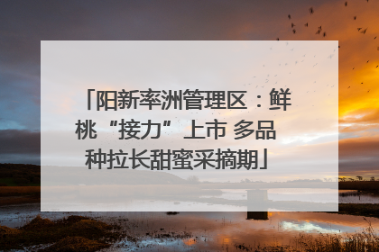 阳新率洲管理区：鲜桃“接力”上市 多品种拉长甜蜜采摘期