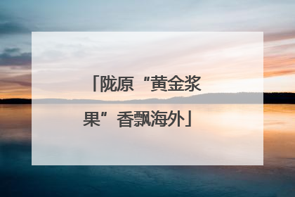 陇原“黄金浆果”香飘海外