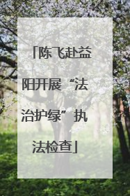 陈飞赴益阳开展“法治护绿”执法检查