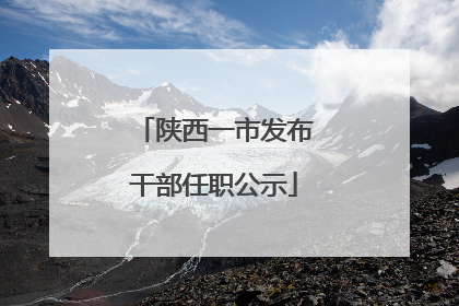 陕西一市发布干部任职公示
