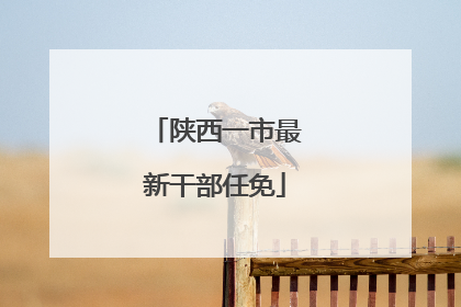 陕西一市最新干部任免