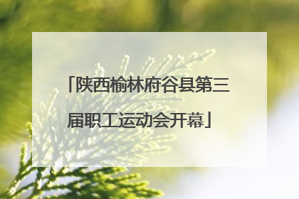 陕西榆林府谷县第三届职工运动会开幕