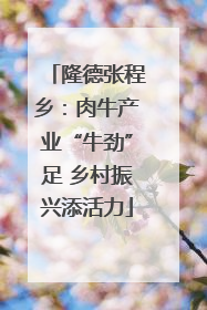 隆德张程乡：肉牛产业“牛劲”足 乡村振兴添活力