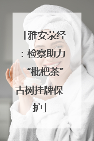 雅安荥经：检察助力“枇杷茶”古树挂牌保护