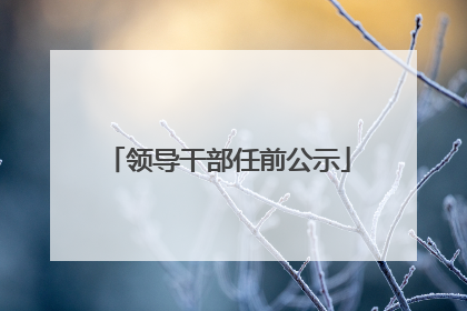 领导干部任前公示