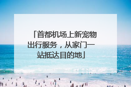 首都机场上新宠物出行服务，从家门一站抵达目的地