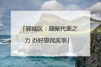 驿城区：凝聚代表之力 办好惠民实事
