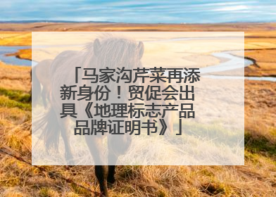 马家沟芹菜再添新身份！贸促会出具《地理标志产品品牌证明书》
