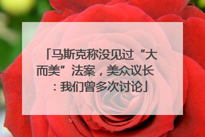 马斯克称没见过“大而美”法案，美众议长：我们曾多次讨论