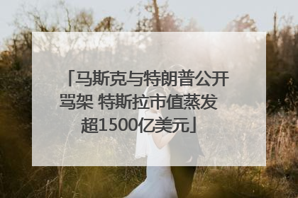 马斯克与特朗普公开骂架 特斯拉市值蒸发超1500亿美元
