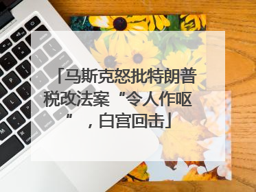 马斯克怒批特朗普税改法案“令人作呕”，白宫回击