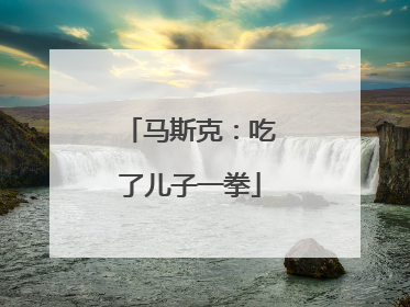 马斯克：吃了儿子一拳