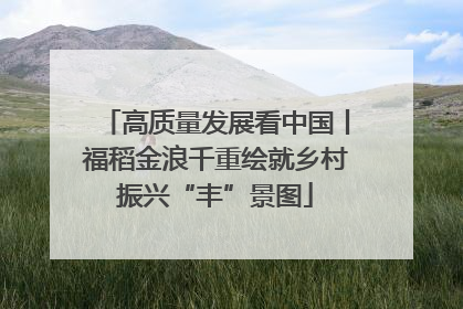 高质量发展看中国丨福稻金浪千重绘就乡村振兴“丰”景图