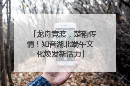 龙舟竞渡，楚韵传情！知音湖北端午文化焕发新活力