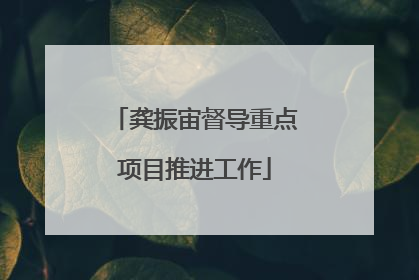 龚振宙督导重点项目推进工作