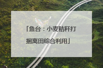 鱼台：小麦秸秆打捆离田综合利用