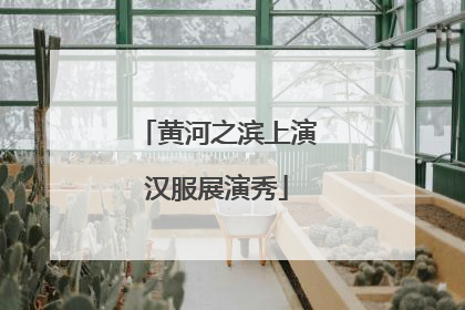 黄河之滨上演汉服展演秀
