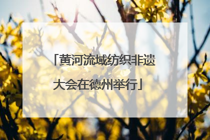 黄河流域纺织非遗大会在德州举行