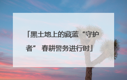 黑土地上的藏蓝“守护者” 春耕警务进行时