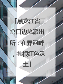 黑龙江省三岔口边境派出所：在界河畔，扎根红色沃土