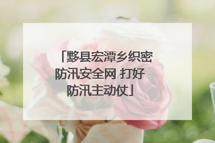 黟县宏潭乡织密防汛安全网 打好防汛主动仗