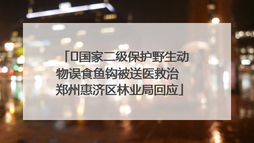 ﻿国家二级保护野生动物误食鱼钩被送医救治 郑州惠济区林业局回应