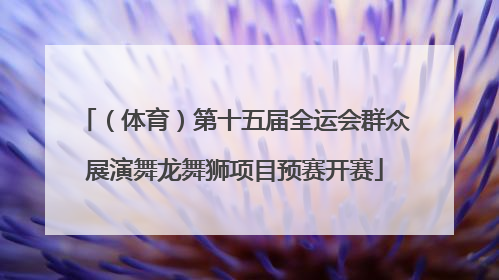 （体育）第十五届全运会群众展演舞龙舞狮项目预赛开赛