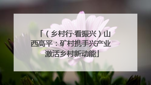 （乡村行·看振兴）山西高平：矿村携手兴产业 激活乡村新动能
