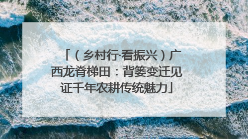 （乡村行·看振兴）广西龙脊梯田：背篓变迁见证千年农耕传统魅力