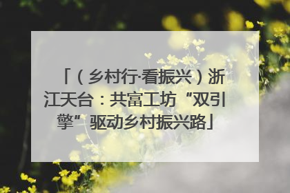 （乡村行·看振兴）浙江天台：共富工坊“双引擎”驱动乡村振兴路