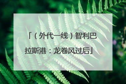 （外代一线）智利巴拉斯港：龙卷风过后