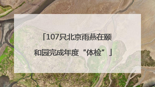 107只北京雨燕在颐和园完成年度“体检”