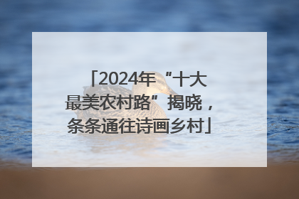 2024年“十大最美农村路”揭晓，条条通往诗画乡村