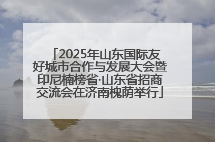 2025年山东国际友好城市合作与发展大会暨印尼楠榜省·山东省招商交流会在济南槐荫举行