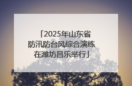 2025年山东省防汛防台风综合演练在潍坊昌乐举行