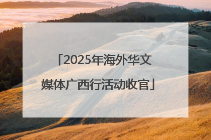 2025年海外华文媒体广西行活动收官
