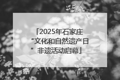 2025年石家庄“文化和自然遗产日”非遗活动启幕