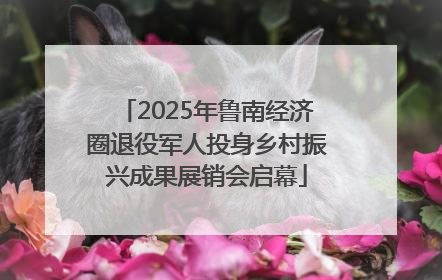 2025年鲁南经济圈退役军人投身乡村振兴成果展销会启幕