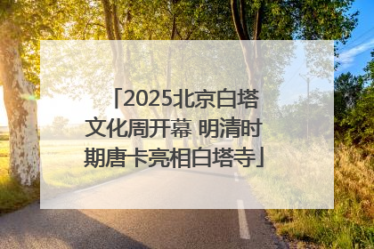 2025北京白塔文化周开幕 明清时期唐卡亮相白塔寺