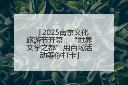 2025南京文化旅游节开幕：“世界文学之都”用百场活动等你打卡