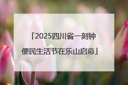 2025四川省一刻钟便民生活节在乐山启幕